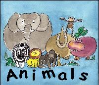 Animal illustrations in water colour