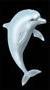 Dolphin in the boardgame