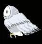 Owl illustration