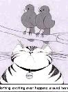 Cat and bird cartoon "Nothing exciting ever happens around here".