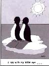 Penguin Cartoon "I Spy with my little eye"