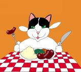 Dinner time for this little kitten