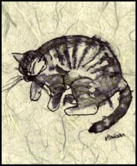 Tabby Cat in Ink and Wash