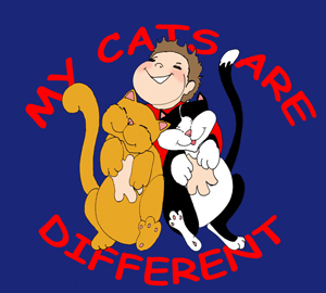My Cats Are Different - illustrated story book for children