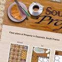 France Property web design